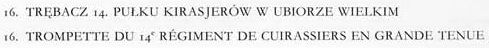 Униформология: польские войска в армии Наполеона и войско Великого Герцогства Варшавского