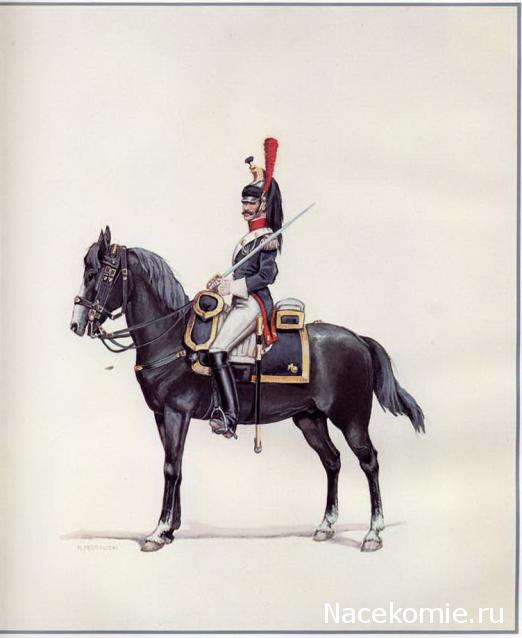 Униформология: польские войска в армии Наполеона и войско Великого Герцогства Варшавского