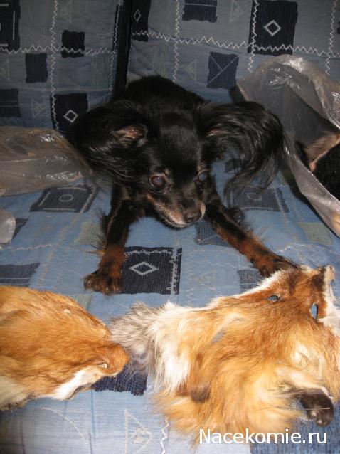 OlgaPro_Заячья норка в Царском селе.