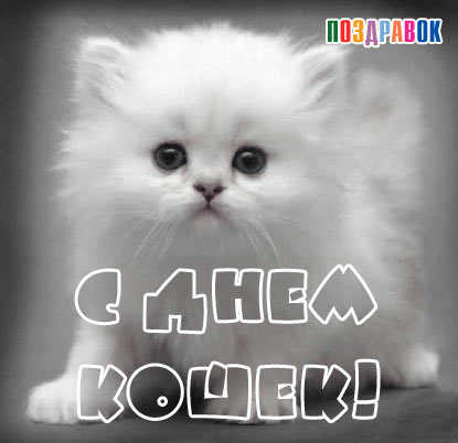 Дамы эпохи - Болталка №2 (соседняя палата)