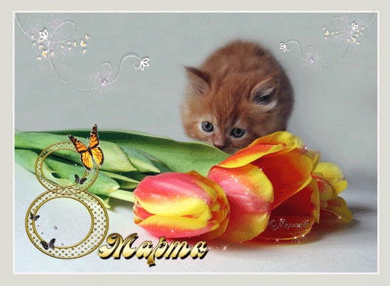 Дом Мечты Болталка: перезагрузка