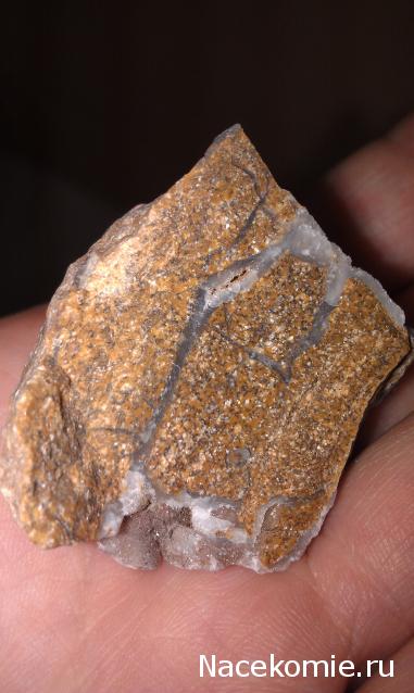 Минералы Сокровища Земли №29 - Халцедон