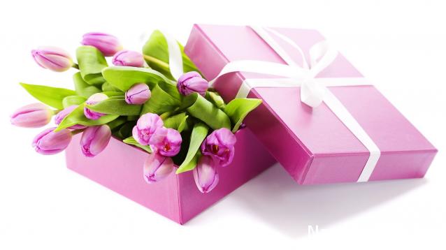 Дом Мечты наши дни рождения