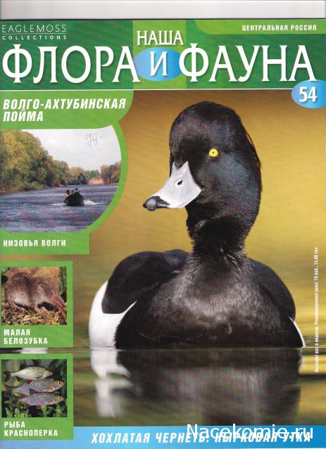 Наша Флора и Фауна - журнал (Eaglemoss)