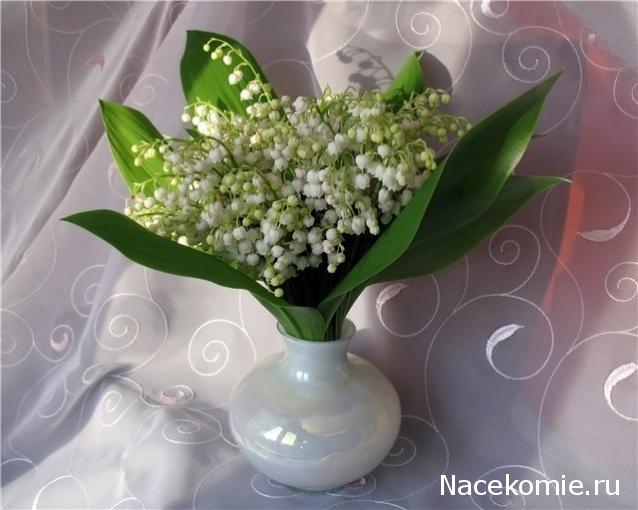 TanaAndreeva  Женские слабости