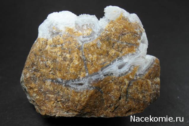 Минералы Сокровища Земли №29 - Халцедон