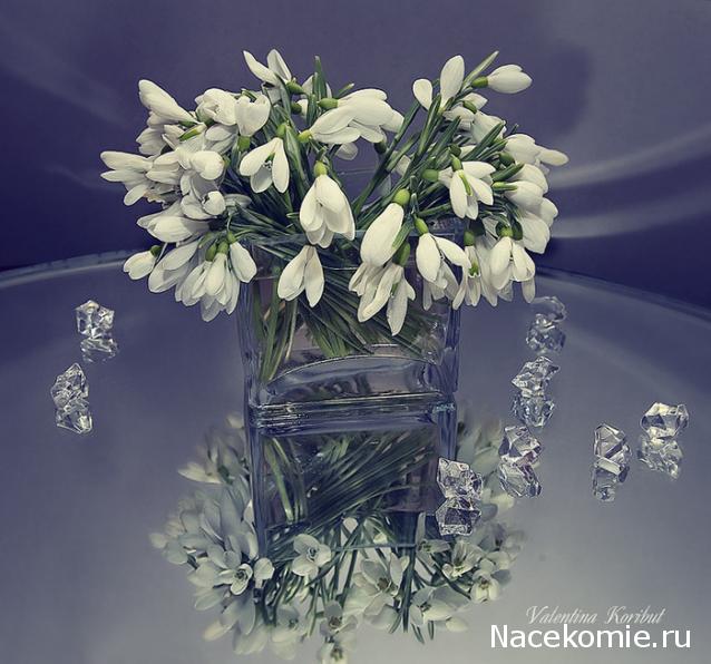 basilik - Дом для души