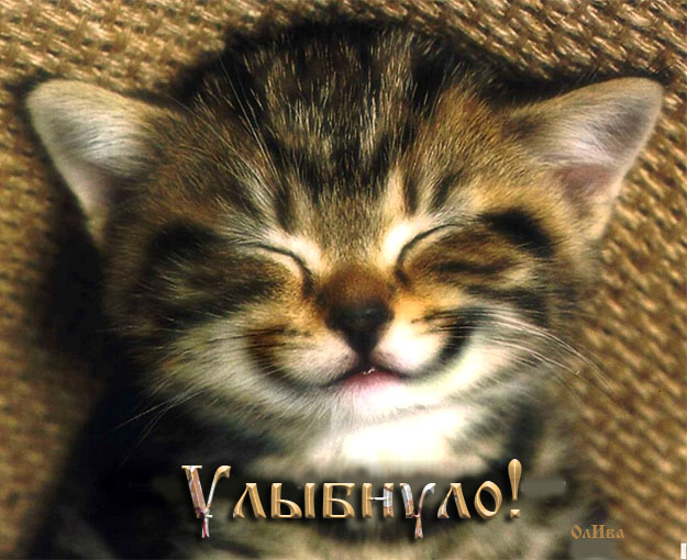 Дом Мечты Болталка: перезагрузка