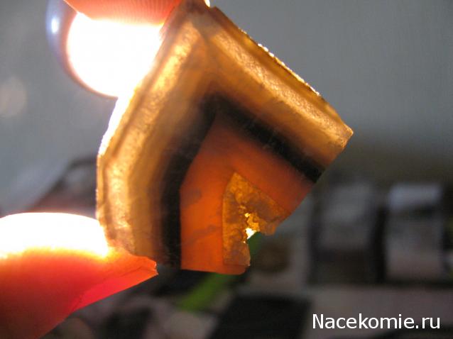 Минералы Сокровища Земли №29 - Халцедон