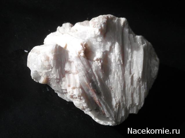 Минералы Сокровища Земли №26 - Волластонит