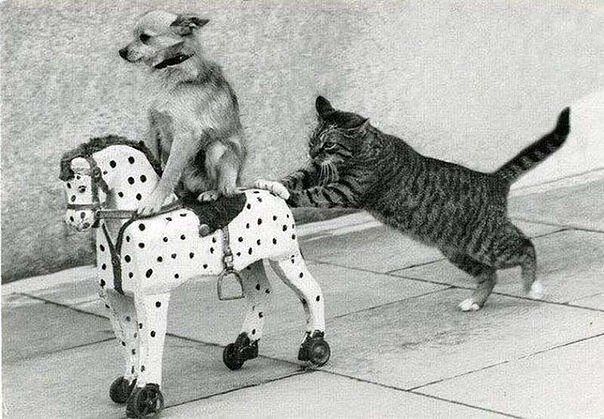 Дом Мечты Болталка: перезагрузка