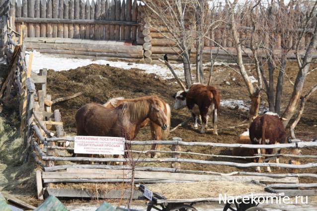 Куклы в народных костюмах №57 Кукла в праздничном костюме Тобольской губернии