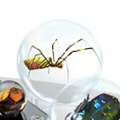 Чудеса Природы - График Выхода и обсуждение