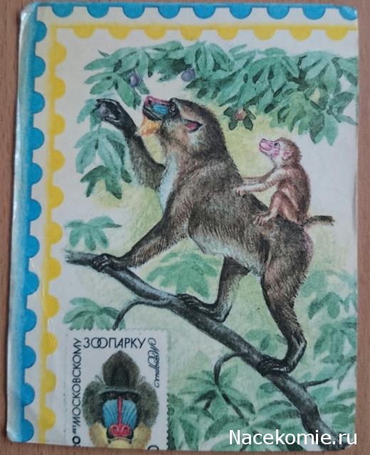 Беседы о филателии и не только (Трёп)