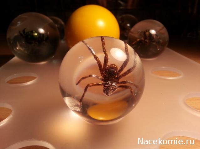 Чудеса Природы. Подписка