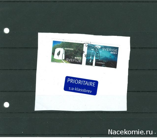 Что за Марка