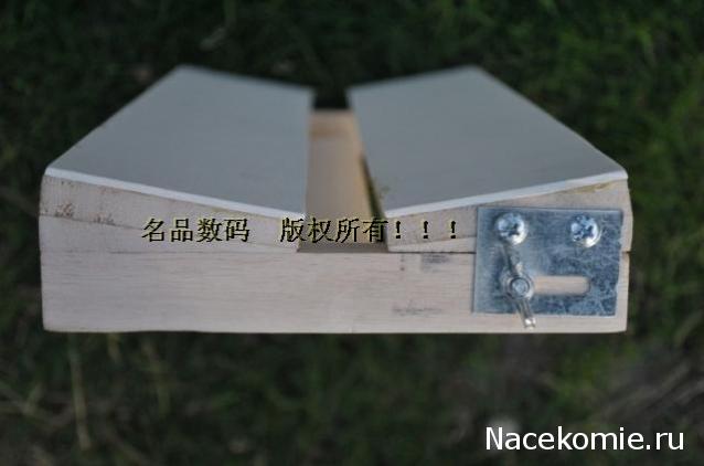 Самостоятельное коллекционирование насекомых