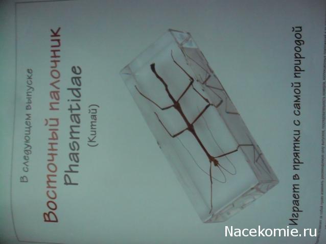 Насекомые и их знакомые 2014 - График Выхода и обсуждение