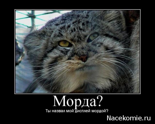 Наполеоновские Войны - Новая флудилка