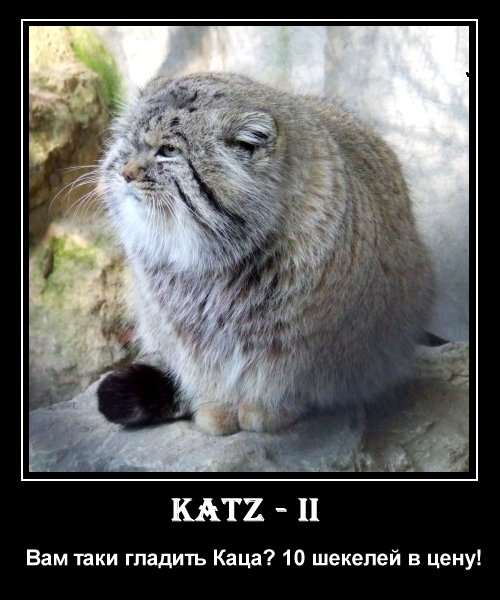 Наполеоновские Войны - Новая флудилка