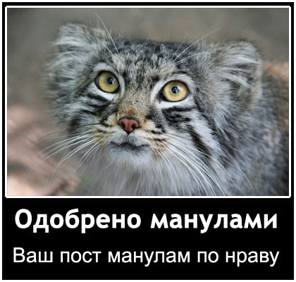 Наполеоновские Войны - Новая флудилка