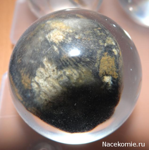 Чудеса Природы №7 - Раковина двустворчатого моллюска