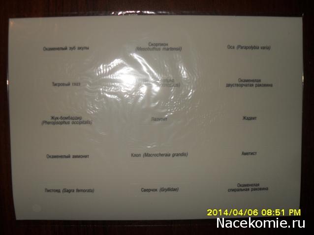 Чудеса Природы. Подписка