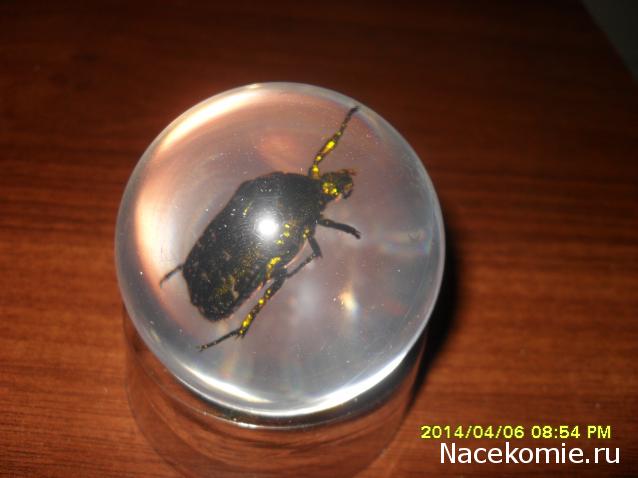 Чудеса Природы. Подписка