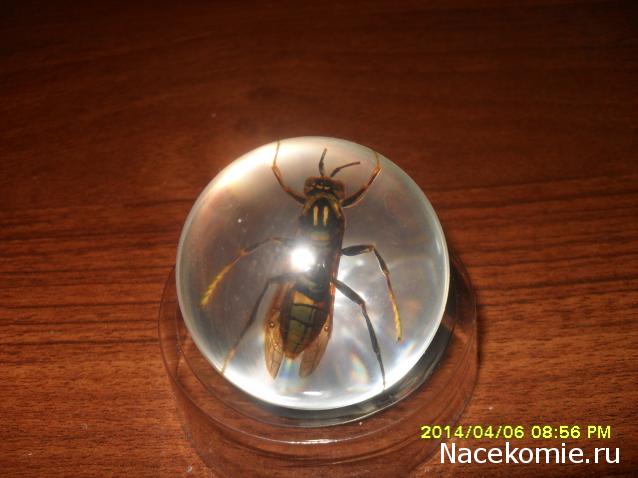 Чудеса Природы. Подписка