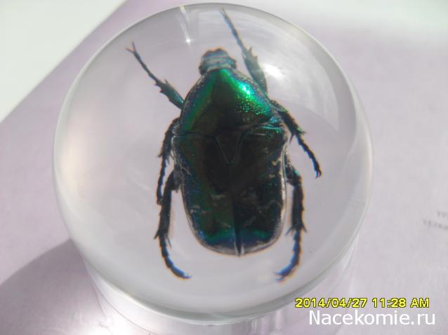 Чудеса Природы. Подписка