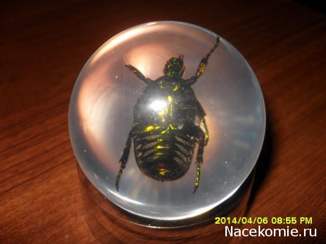 Чудеса Природы. Подписка