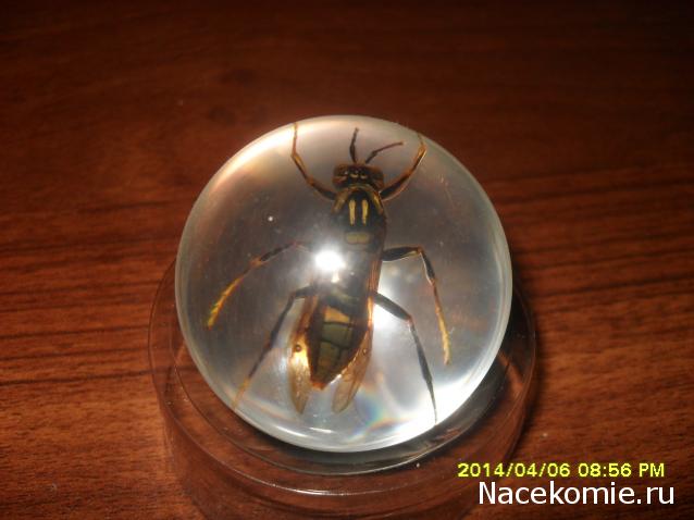 Чудеса Природы. Подписка