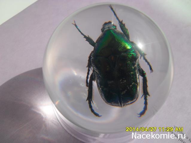 Чудеса Природы. Подписка