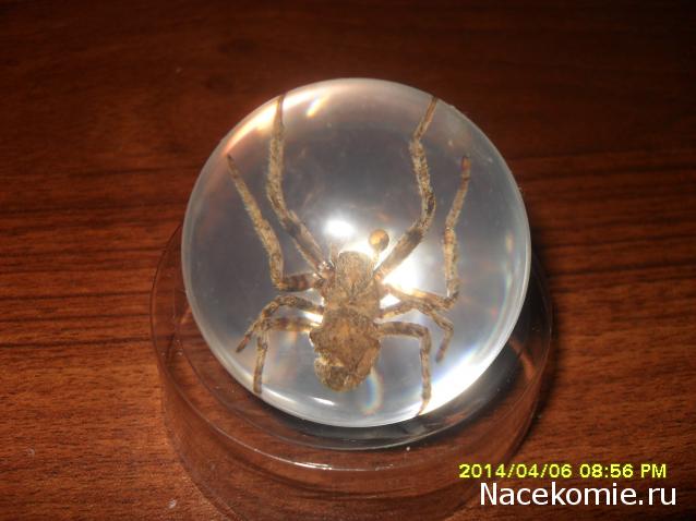 Чудеса Природы. Подписка