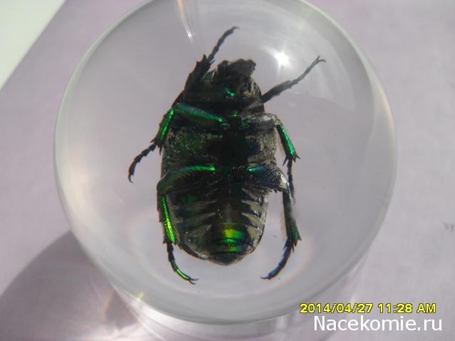 Чудеса Природы. Подписка