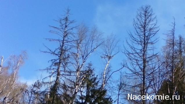 Разбор полетов. Беседы про авиацию.