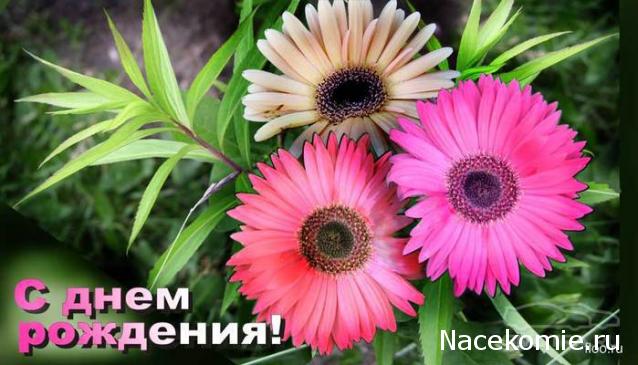 Дамы эпохи - Наши дни рождения