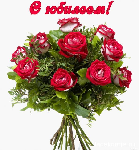 IceGalina - И я с вами!