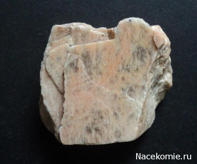 Минералы Сокровища Земли №31 - Ортоклаз