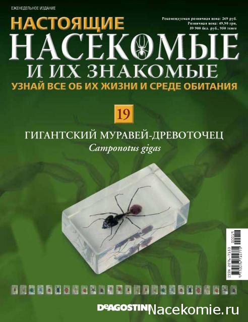 Насекомые и их знакомые 2014 - График Выхода и обсуждение