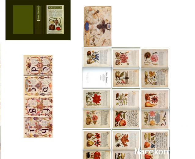 Matrena - Дом семьи де Монфор