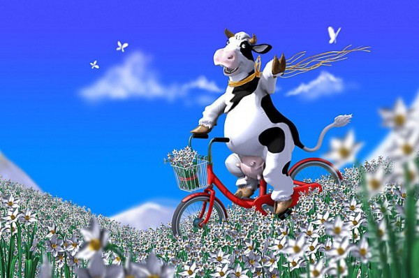 Наши Дни Рождения