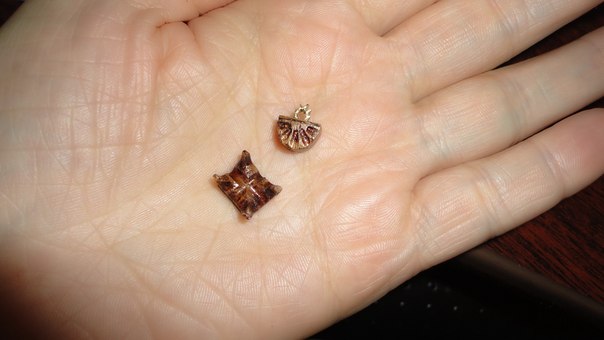 milena23 - Мечта моего детства.