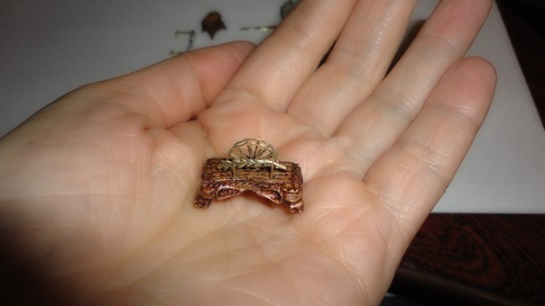 milena23 - Мечта моего детства.