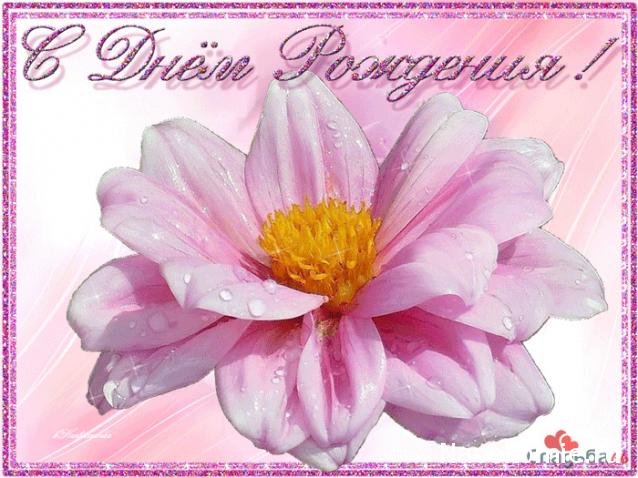 Kittyrina - мой любимый домик и мои масяньки