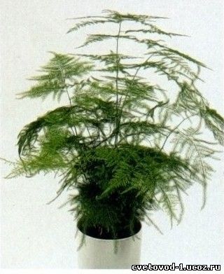 Дом Мечты. Аксессуары и мебель своими руками часть 2