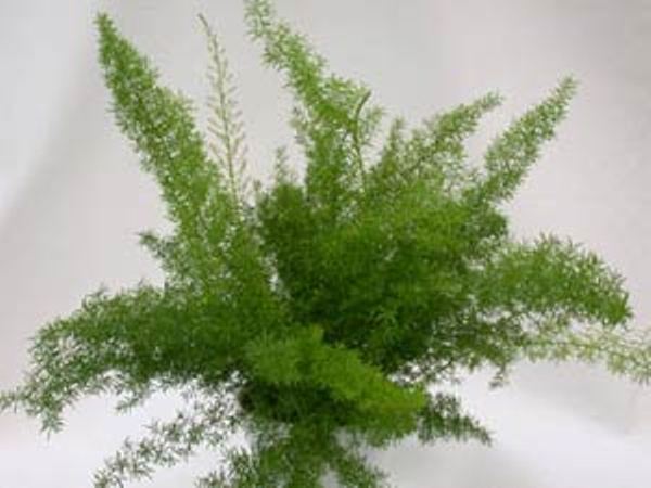 Дом Мечты. Аксессуары и мебель своими руками часть 2