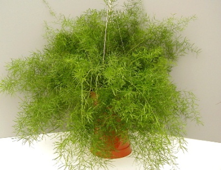 Дом Мечты. Аксессуары и мебель своими руками часть 2