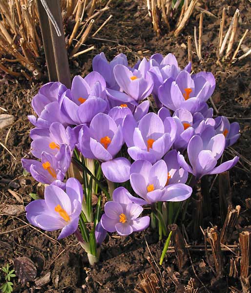 Наши Дни Рождения