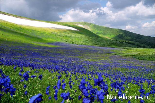 Наши Дни Рождения